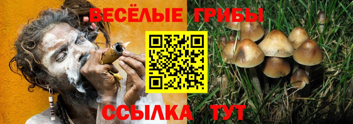 Артёмовский  Псилоцибиновые грибы Cubensis  Вход с VPN 